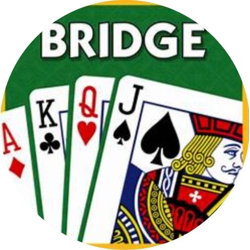 Pop-up Bridge bij het DLM op 16 juli, aanvang 13.45 uur