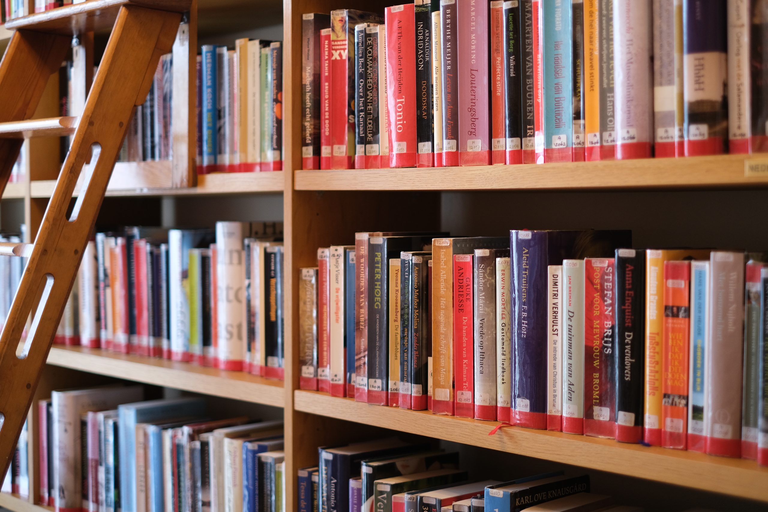 Algemene ledenvergadering