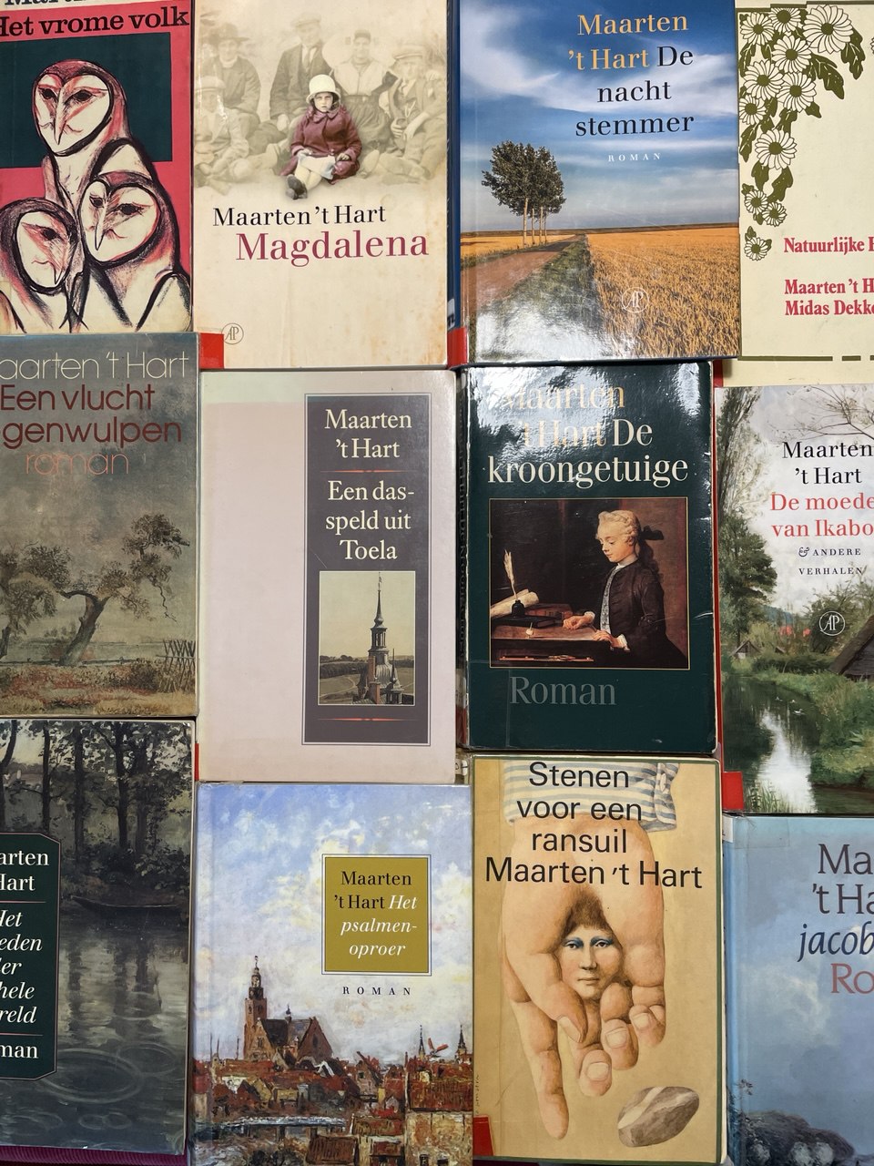 P.C. Hooftprijs 2025 voor Maarten &lsquo;t Hart