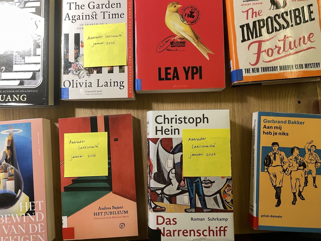 De aanraders van januari